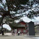 병준농장 | 3월 일상- 아이유콘서트, 이케아, 동기모임, 행리단길, 창경궁꽃구경