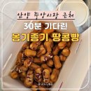 안양중앙시장 | 안양 중앙시장 근처 땅콩빵 후기｜30분 기다려서 먹어본 옹기종기 땅콩빵