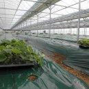 예지농장 이미지