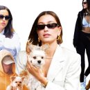 메디슨167 이미지