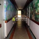 아마존모텔 이미지