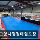 정점태권도장 네이버블로그