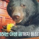 대웅농장 이미지