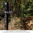 삼거리카포스 이미지