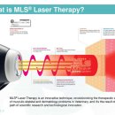 노원N동물의료센터 이미지