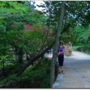 이별과 사별의 증후군 이미지