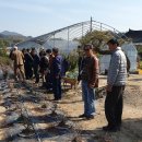 왕림농장 이미지