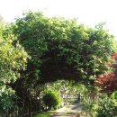 장현농원 이미지