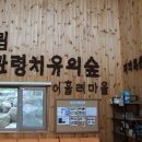 대관령톡톡 이미지