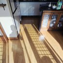 별빛하우스 이미지