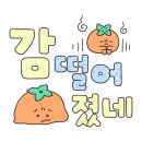 모던앤발레핏