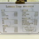 헤어&메이크업 Lemon Tree(레몬트리)