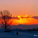 서일목장 이미지