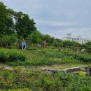 대현산공원(간) 이미지