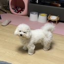 도담도담이발소 이미지