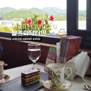 왈츠처럼 | 남양주 커피맛집 왈츠와닥터만 클래식한 테라스카페