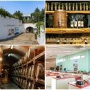 감악산 그린농원 이미지