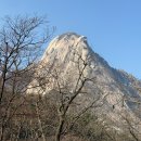 우이동소문난족발 이미지