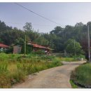 이동백 소리길 이미지