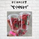 기광농장 네이버블로그
