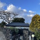 땡칠이 민박 | 제주 구좌 애견동반 감성독채펜션 토끼굴 3일차 숙소