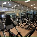 쏘마휘트니스 이미지