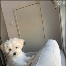 블리비의원 이미지