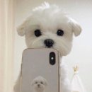 미즈여성아동병원 이미지