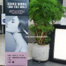쎄씨 오피스 클래스 feat. 미쟝센 * 연말 파티 스타일, 파티 헤어 연출하기 (쎄씨아이콘 활동*.*)