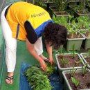 시흥1동 주민센터 이미지