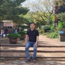 제주 평대리 비자나무 숲 이미지