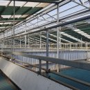 지티농장 이미지