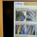 루아헤어&스토어수월점 네이버블로그