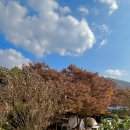 학교안 풍경 캠핑장 이미지