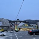 "뮤지컬 라이온킹" 인터내셔널 투어 후기