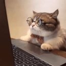 엔스온누리약국 이미지