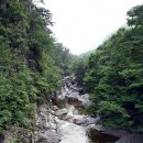 무릉계곡 이미지