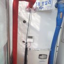 진위서로 이미지