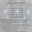 스위밍차일드 이미지