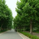 C모텔 Daum카페