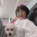 체온UP다이어트 이미지