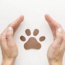 엔케어동물의료센터 이미지