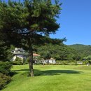 벌교파3골프연습장 이미지