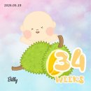 빨래노리터 | 35주차 | 남대문 쇼핑, 선물 언박싱, 다시 자분 가능, 빨래공장 가동, 아기방 실링팬 설치, 여기저기...