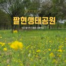 비산(금호강변) 제2파크골프장 | 대구 가볼만한 곳 팔현생태공원 &amp; 출사하기 좋은 봄풍경 산책명소