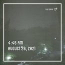판소리, 그것이 알고싶다 | [안산속독 우뇌개발] 5분에책1권 책 소개_신동원 교수의 한국과학문명사 강의