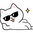 스티커나라