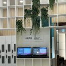 스마일 | 시골쥐의 스마일라식 후기, 내돈내산 비앤빛안과