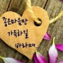 From the New World 이미지