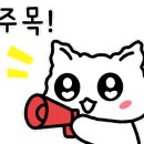 새통영식당